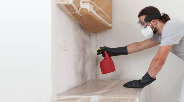 Professional Mold Removal technician working in Island Park, NY